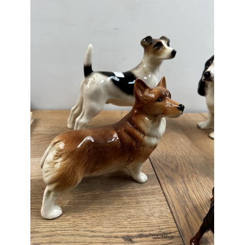 240 - A china dog collection to include: 4 x Beswick - Scottie, Golden Retriever, Rotweiller, Bull dog; 2 ... 