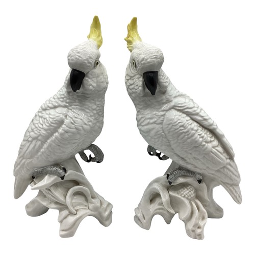 399 - A pair of fine bone china models of Cockatoos, Marked to base 'modelled by JT Jones' and hand painte... 