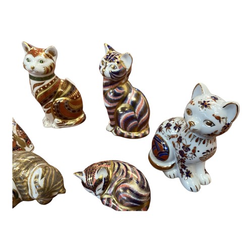 448 - A collection of Royal Crown Derby models of cats to include a Bengal Tiger Cub and five  others. Wit... 