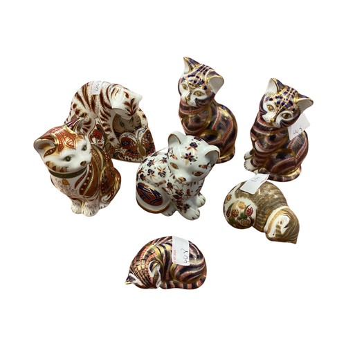 448 - A collection of Royal Crown Derby models of cats to include a Bengal Tiger Cub and five  others. Wit... 