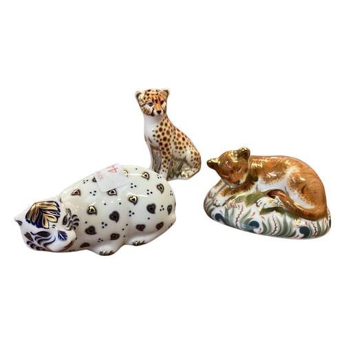 445 - Three Royal Crown Derby Models of Big Cats, to include Tiger Cheater and Lion Cub, condition, almost... 