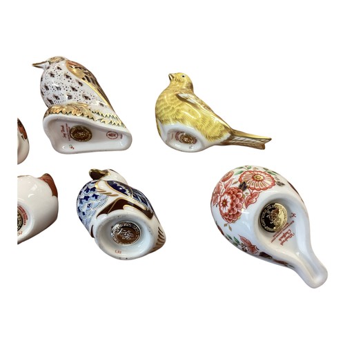 439 - Collection of Royal Crown Derby Models of birds to include, song Thrush, Canary, Owlet, Windrush Cha... 