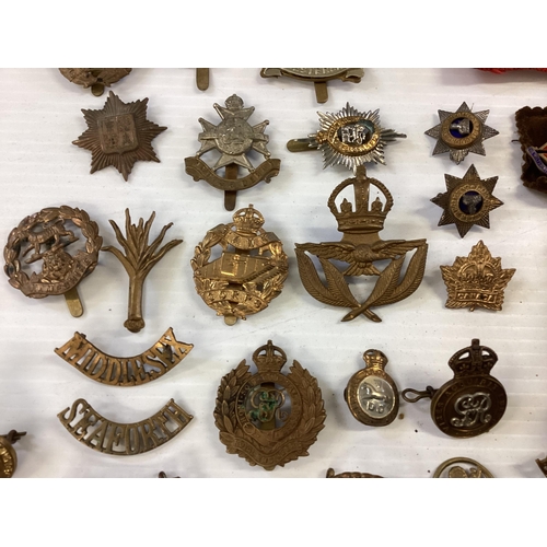 207 - A large collection of military cap badges, various regiments together with a collection of military ... 