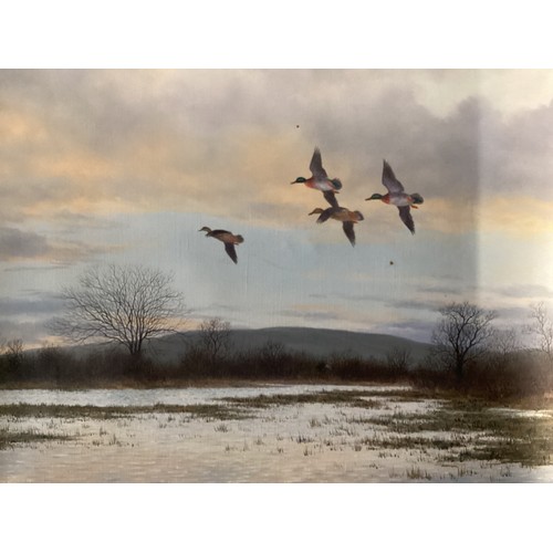 500 - Geoffrey Campbell Black (XX), a pair of oil on canvas, Ducks in Flight, signed lower left, in gilt a... 