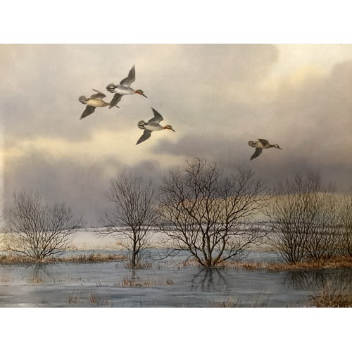 500 - Geoffrey Campbell Black (XX), a pair of oil on canvas, Ducks in Flight, signed lower left, in gilt a... 