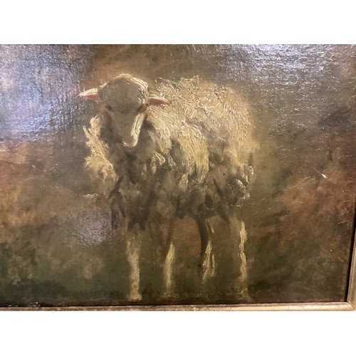 489 - Gilt framed oil on canvas portrait of a sheep, 26 x 34cm