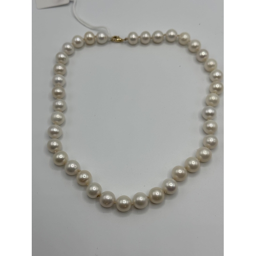 9 - A strand of large uniform pearls with 18ct gold clasp. approx 13mm pearls. 45cm.