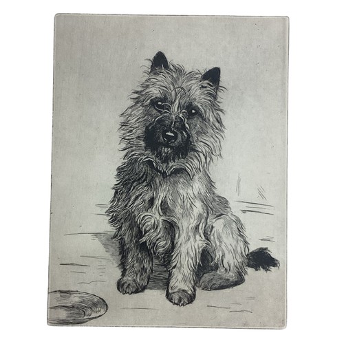 476 - Two framed and glazed prints of terrier dogs, signed in pencil Marion Harvey (Marion Rodger Hamilton... 