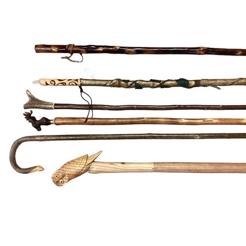 344 - A collection of walking sticks to include shepherd's crook, pilgrimage  sticks and a country thumb s... 