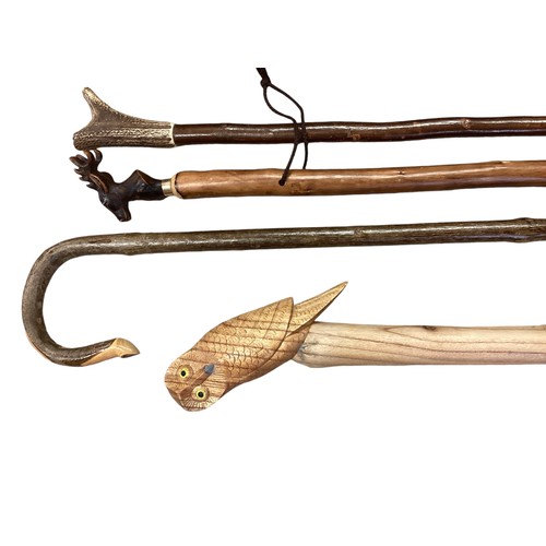 344 - A collection of walking sticks to include shepherd's crook, pilgrimage  sticks and a country thumb s... 