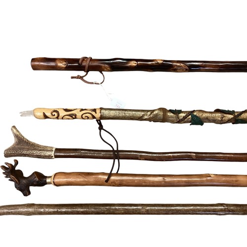 344 - A collection of walking sticks to include shepherd's crook, pilgrimage  sticks and a country thumb s... 