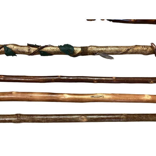 344 - A collection of walking sticks to include shepherd's crook, pilgrimage  sticks and a country thumb s... 