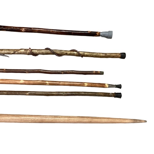 344 - A collection of walking sticks to include shepherd's crook, pilgrimage  sticks and a country thumb s... 