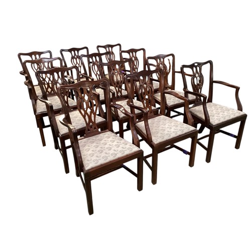 554 - 12 reproduction chippendale style armchairs with upholstered inset seats, 56cm wide x 54cm d x  91cm... 