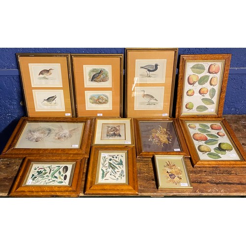 407 - A quantity of decorative framed and glazed pictures and prints to include, maple style framed histor... 