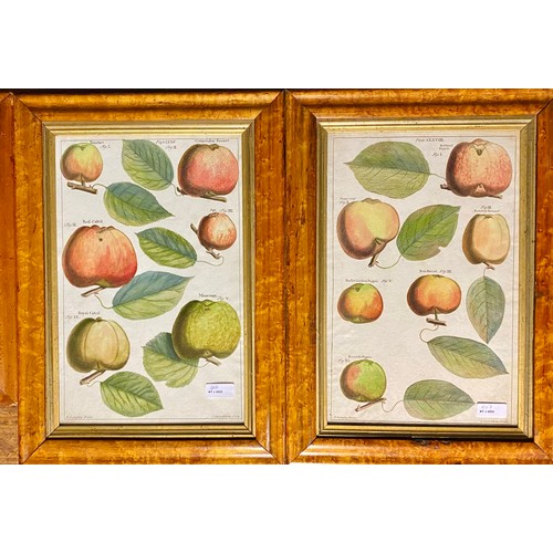 407 - A quantity of decorative framed and glazed pictures and prints to include, maple style framed histor... 