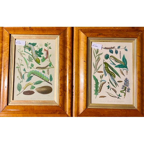 407 - A quantity of decorative framed and glazed pictures and prints to include, maple style framed histor... 