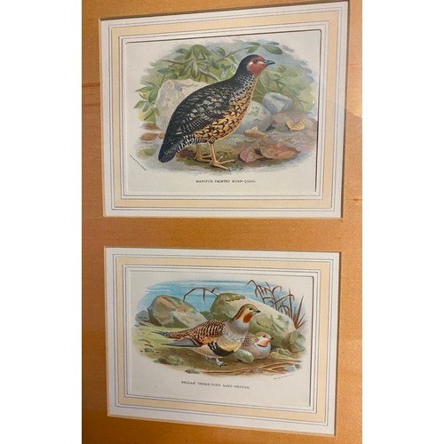 407 - A quantity of decorative framed and glazed pictures and prints to include, maple style framed histor... 