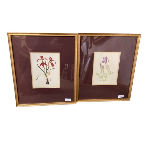 407 - A quantity of decorative framed and glazed pictures and prints to include, maple style framed histor... 