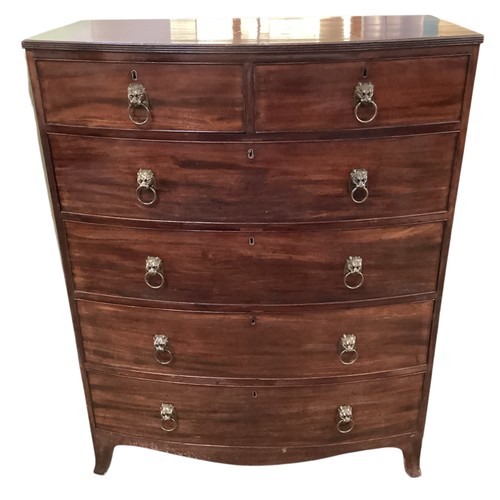 586 - A good bow fronted mahogany chest of two short and four long drawers with lion head ring handles.  1... 