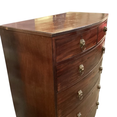 586 - A good bow fronted mahogany chest of two short and four long drawers with lion head ring handles.  1... 