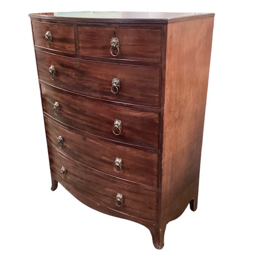 586 - A good bow fronted mahogany chest of two short and four long drawers with lion head ring handles.  1... 