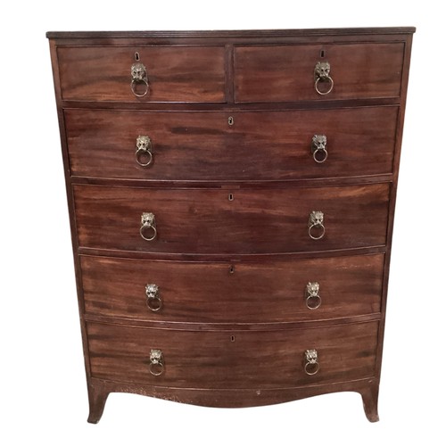 586 - A good bow fronted mahogany chest of two short and four long drawers with lion head ring handles.  1... 