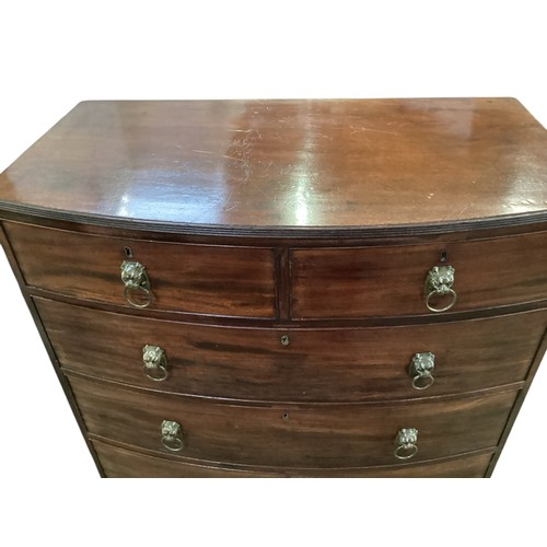 586 - A good bow fronted mahogany chest of two short and four long drawers with lion head ring handles.  1... 