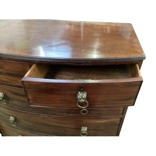 586 - A good bow fronted mahogany chest of two short and four long drawers with lion head ring handles.  1... 