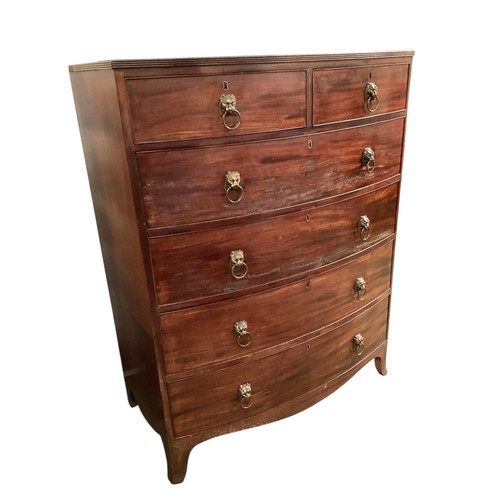 586 - A good bow fronted mahogany chest of two short and four long drawers with lion head ring handles.  1... 