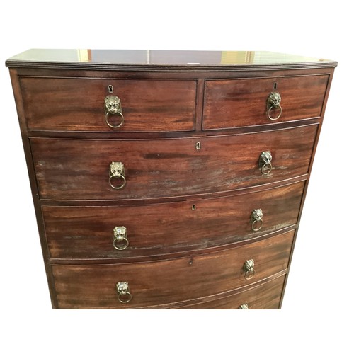 586 - A good bow fronted mahogany chest of two short and four long drawers with lion head ring handles.  1... 