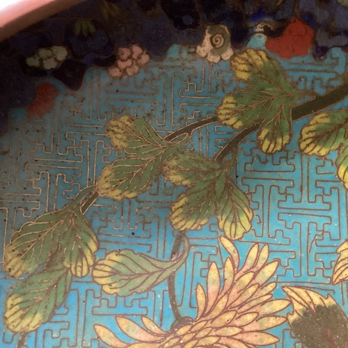 427 - A large cloisonné oriental dish, approx 24cm diameter. All over wear, some losses to interior, wear ... 