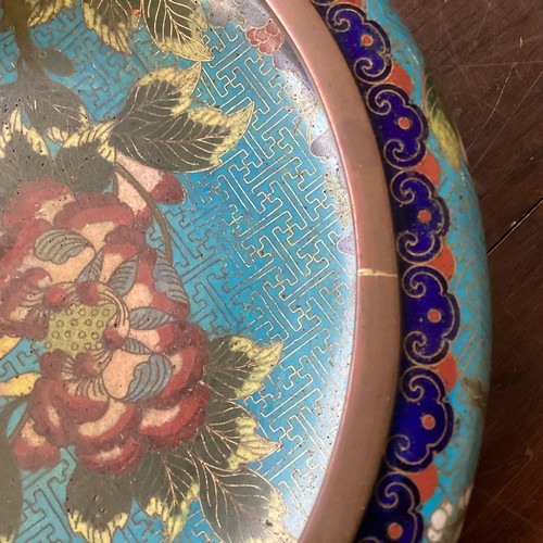 427 - A large cloisonné oriental dish, approx 24cm diameter. All over wear, some losses to interior, wear ... 