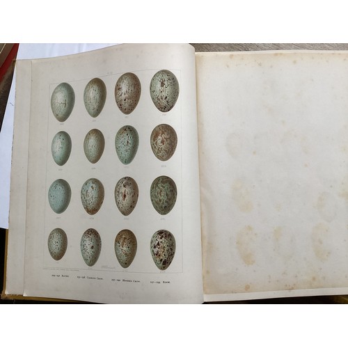 420 - Books: 6 volumes of  A History of British Birds, F O Morris,  with coloured plates and  1 x Birds Eg... 