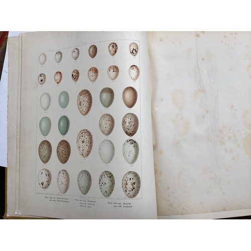 420 - Books: 6 volumes of  A History of British Birds, F O Morris,  with coloured plates and  1 x Birds Eg... 