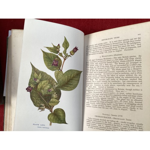 481 - Four vintage gardening books, see photos for details and condition