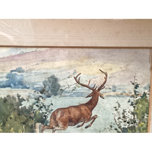 553 - Lionel Edwards, Watercolour, stag and hounds over a gate, signed lower right, and dated 1922,  with ... 