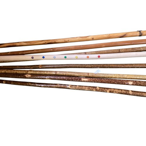 495 - A collection of walking sticks and staves.