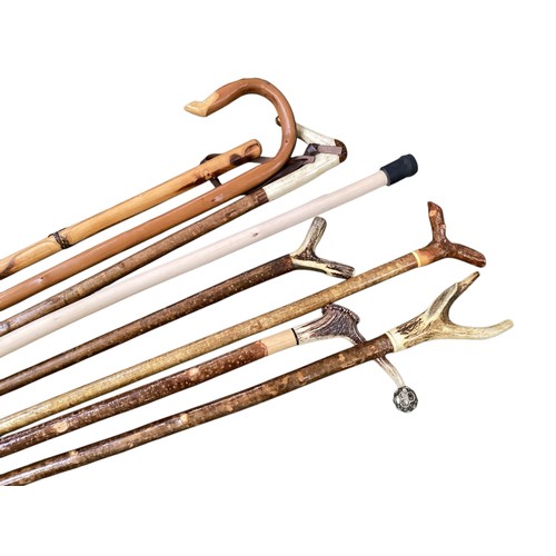 495 - A collection of walking sticks and staves.