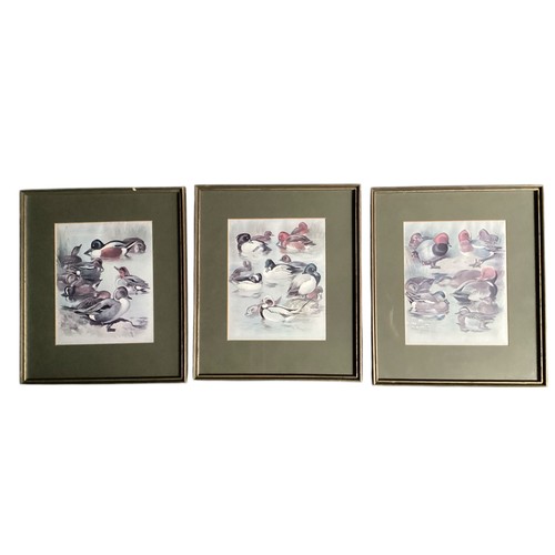 572 - A quantity of framed and glazed pictures and prints of Polo and racing interest