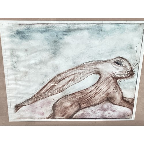 554 - F&G colour drawing of a hare, indistinctly signed lower right, 53 cm x 62 cm F&G watercolour, label ... 