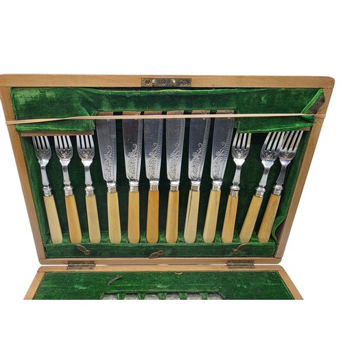 42 - A sterling silver and composite handled boxed 12 person fish knives and forks. JR Birmingham 1881.