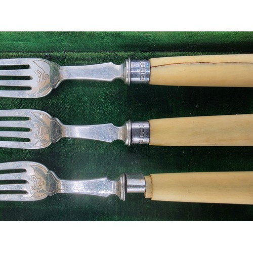 42 - A sterling silver and composite handled boxed 12 person fish knives and forks. JR Birmingham 1881.