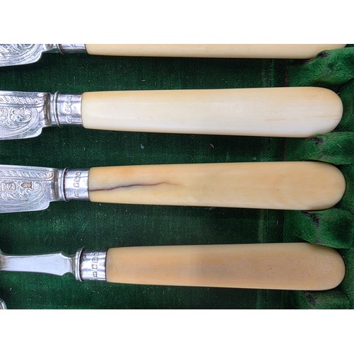 42 - A sterling silver and composite handled boxed 12 person fish knives and forks. JR Birmingham 1881.