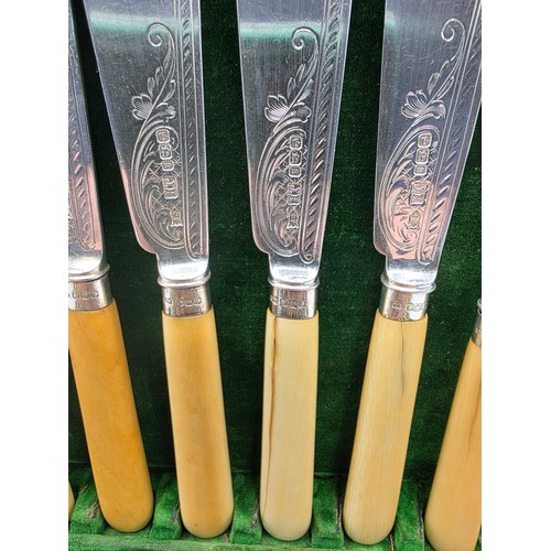 42 - A sterling silver and composite handled boxed 12 person fish knives and forks. JR Birmingham 1881.