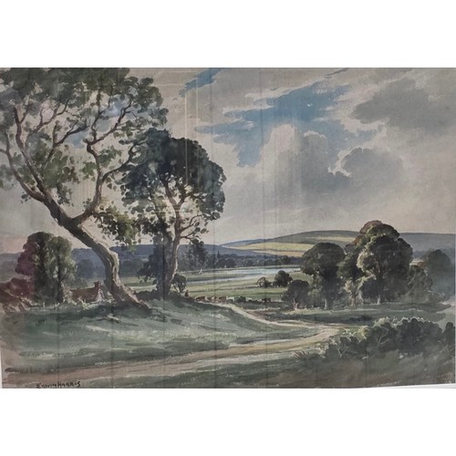 Lot 408       
