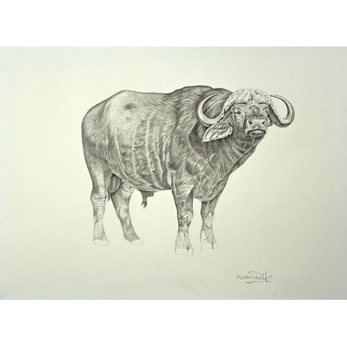 Lot 426       