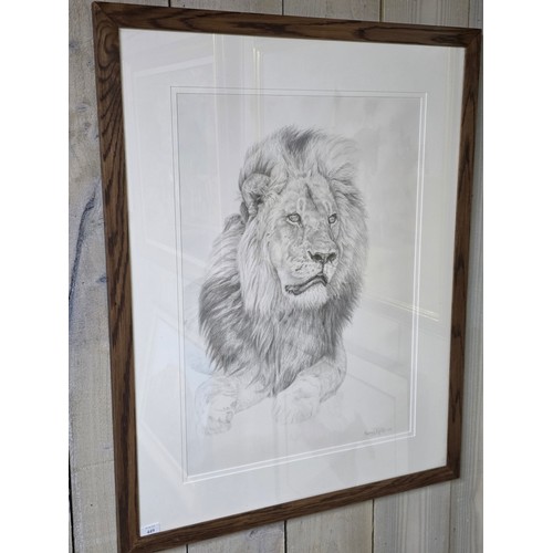 449 - Murray Ralfe (XX-XXI), Lion, Pencil on paper, signed, framed and glazed