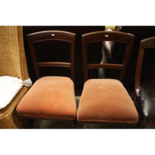 659 - PAIR OF DINING CHAIRS