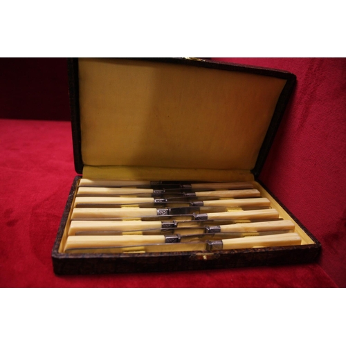 337 - BOX OF BONE HANDLED BUTTER KNIVES